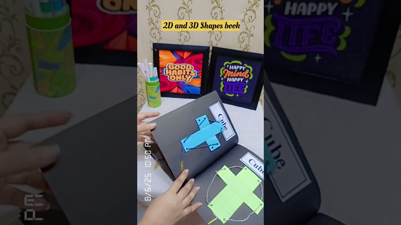 2D and 3D shape book 📕🌸 #math #learn #schoolactivity