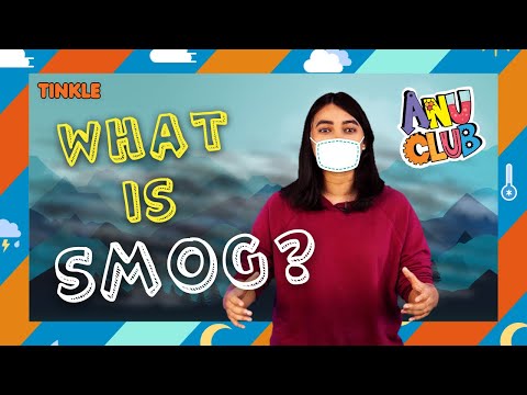 What is Smog? The Science of Smog - How Smog Is Formed - How Smog Affects Delhi