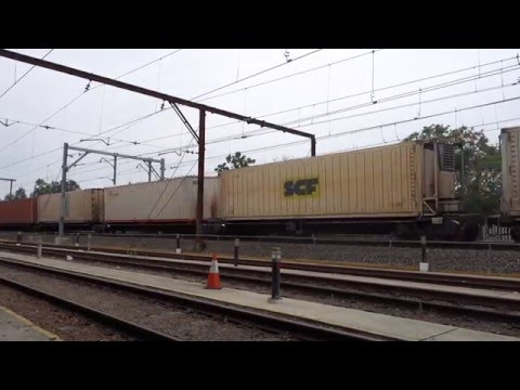 Two Ghan NR's and DL50 on 2BM4 - 8/12/15