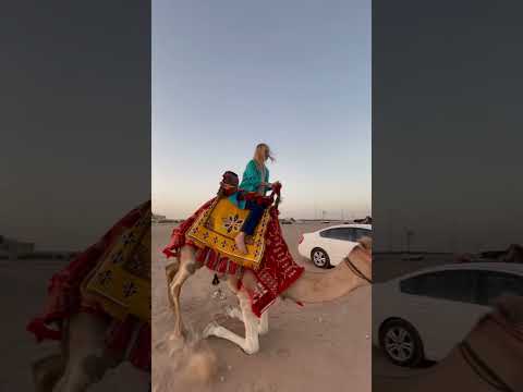 Wandering on a tight budget? Just go for a Camel Ride for only 10sr-30sr.. #camelride #riyadh