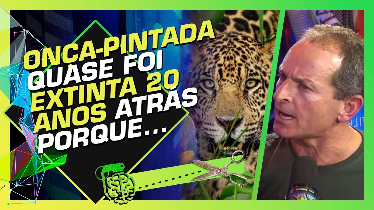 BIÓLOGOS MOSTRAM COMO SE MONITORA OS ANIMAIS NA NATUREZA - RICHARD RASMUSSEN E LEANDRO SILVEIRA