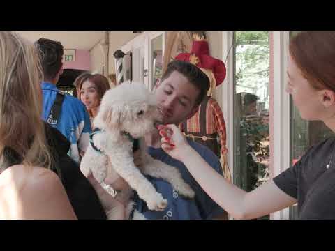 Justin Jesso - Miracle (Official Video)