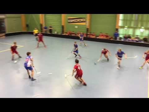 C1 SM 2018 Classic - Tiikerit