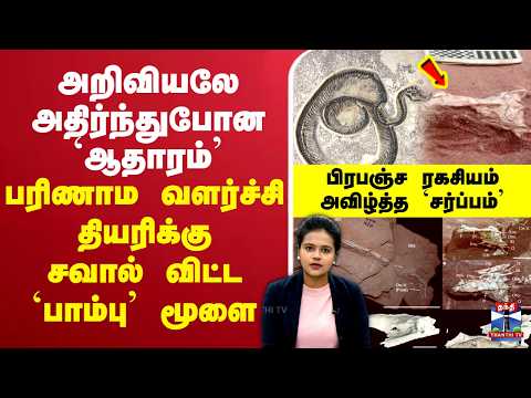 🔴LIVE : Snake | அறிவியலே அதிர்ந்துபோன `ஆதாரம்’ - பரிணாம வளர்ச்சி தியரிக்கு சவால் விட்ட `பாம்பு’ மூளை