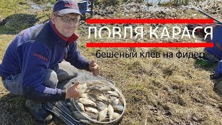 Ссылка