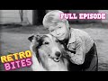 Owl Eggs Full Episode Lassie Old TV Shows Retro Bites