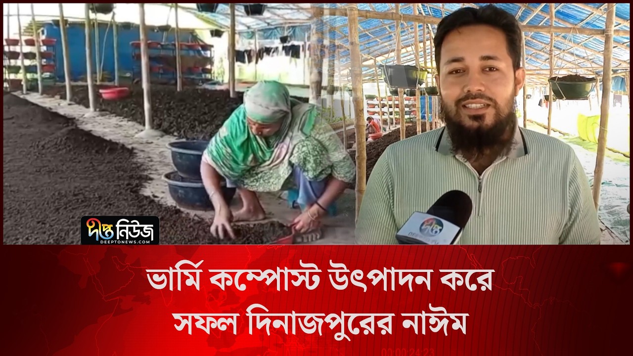 ভার্মি কম্পোস্ট উৎপাদন করে সফল দিনাজপুরের নাঈম l Dinajpur l Vermicompost Production l Deepto News