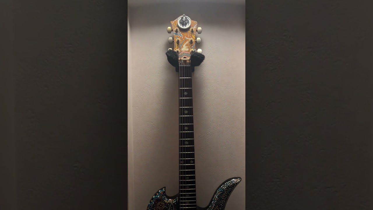 アメーバペイズリー。久しぶりに撮ってみました。【X JAPAN】HIDE ギター 自作ペイント