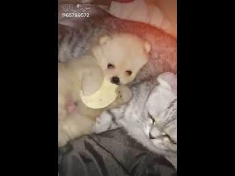 Like Група (Ленок) МОИ ЗАЙКИ. Подпишись и поставь палец вверх!