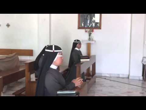 ¿Tú conoces la orden religiosa "Santa Brigida" ?