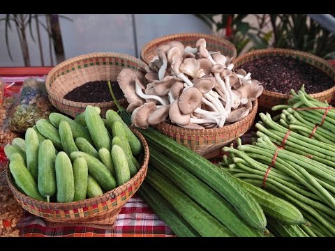 การรักษามือของยาพื้นบ้านโรคสะเก็ดเงิน 100 การกำจัดของโรคสะเก็ดเงิน
