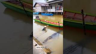 Download lagu Mr. Ambo and his child, the crocodile Riska #amboriska #bigcrocodile #shortvideo mp3 Download lagu Mr. Ambo and his child, the crocodile Riska #amboriska #bigcrocodile #shortvideo mp3