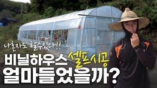 작은 비닐하우스 셀프 시공했습니다.