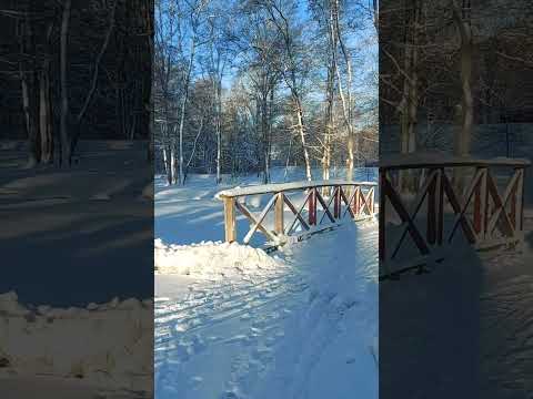 Short winter guided tour of Apladalen park, Värnamo, Sweden. #nature, #snowwalk #sunrise
