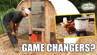 2 Chicken Coop Upgrades That Make Chicken Keeping Easier | Proshine Review