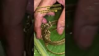 Download lagu Penarikan HARTA KARUN BERLIAN & EMAS dari kerajaan ghaib mp3