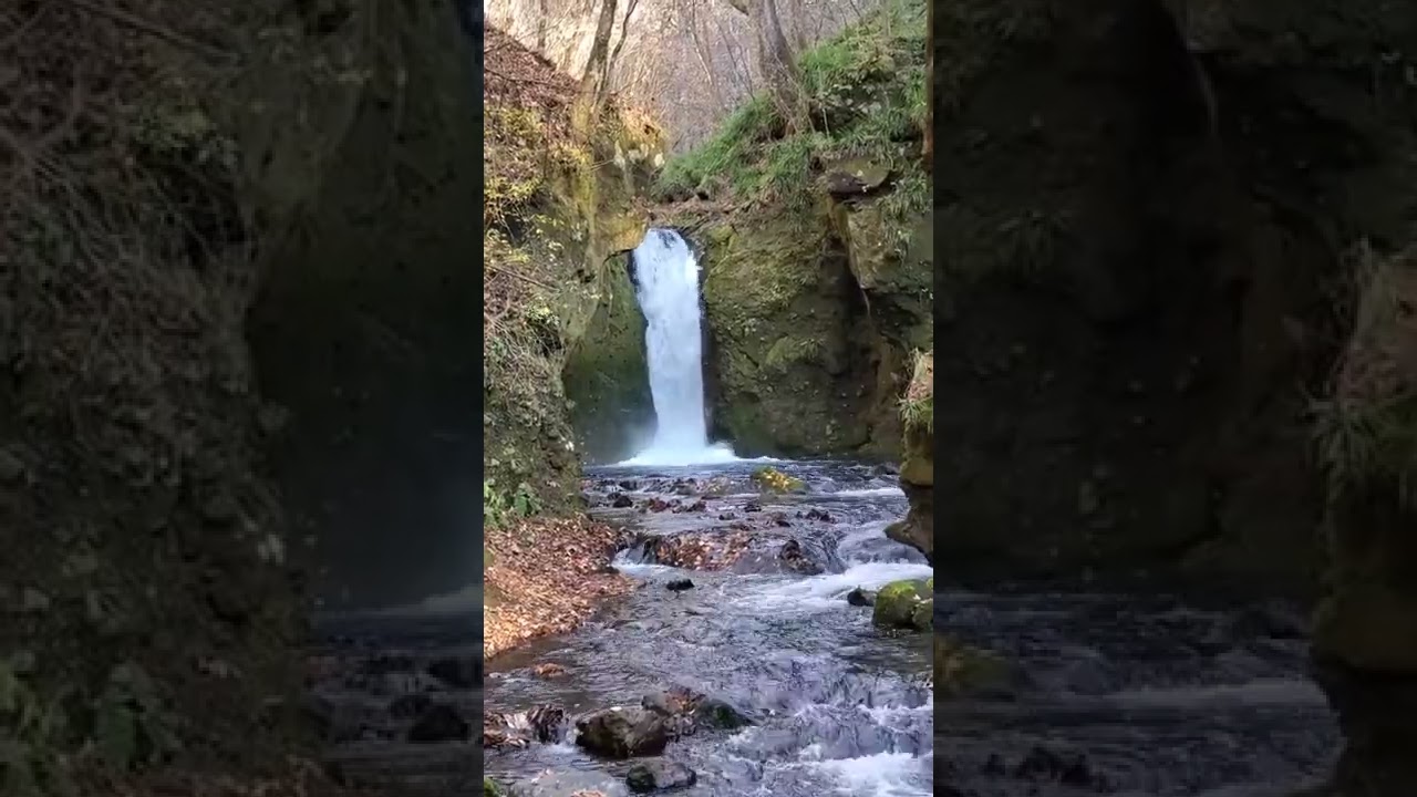 YouTube Short thumbnail