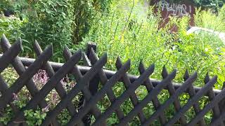 Berlin Ich heirate eine Familie