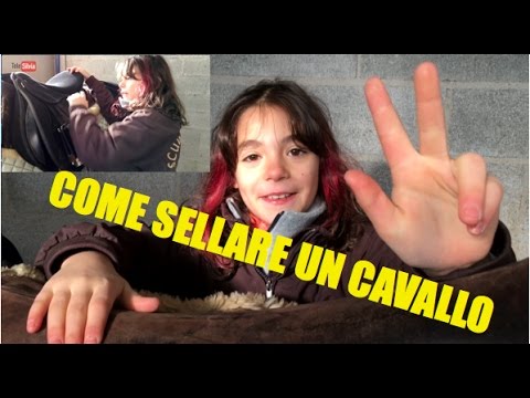 Il miele e il suo effetto sulla potenza Menta uccisione potenza