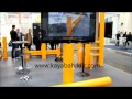 System For Car Wmv