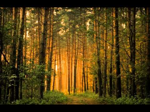 Horizon 222 - Three Of Swans