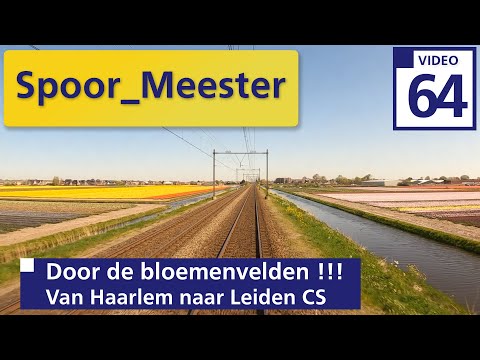 (4K) Cabview NS Trein |Rij mee door de ''Bloembollen'' tussen Haarlem en Leiden Centraal (64)