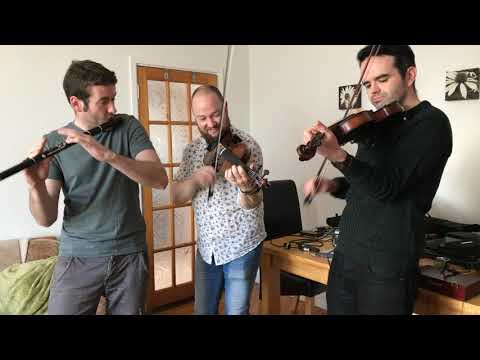 Fergal Scahill's fiddle tune a day 2017 - Day 316! Palmers Gate