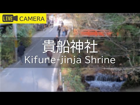 貴船神社のライブカメラ映像