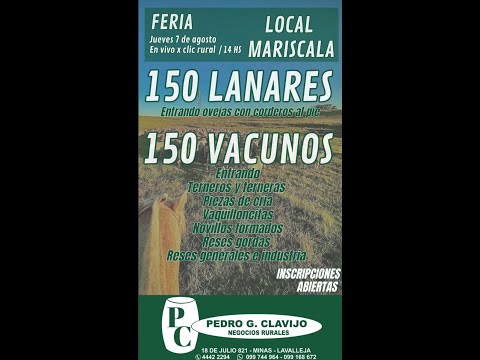 7/8/2025 Feria Mensual - Local Mariscala - Lavalleja - Pedro G. Clavijo