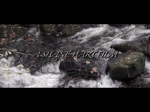 ‘Palatable’ #Film #Concept #Teaser