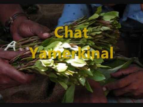 New Ethiopian  funny  music /Chat Yamerekinal