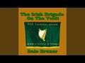 The Irish Brigade On The Veldt