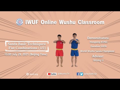 Sanda Basic Techniques:  Fist Combinations (1/2)