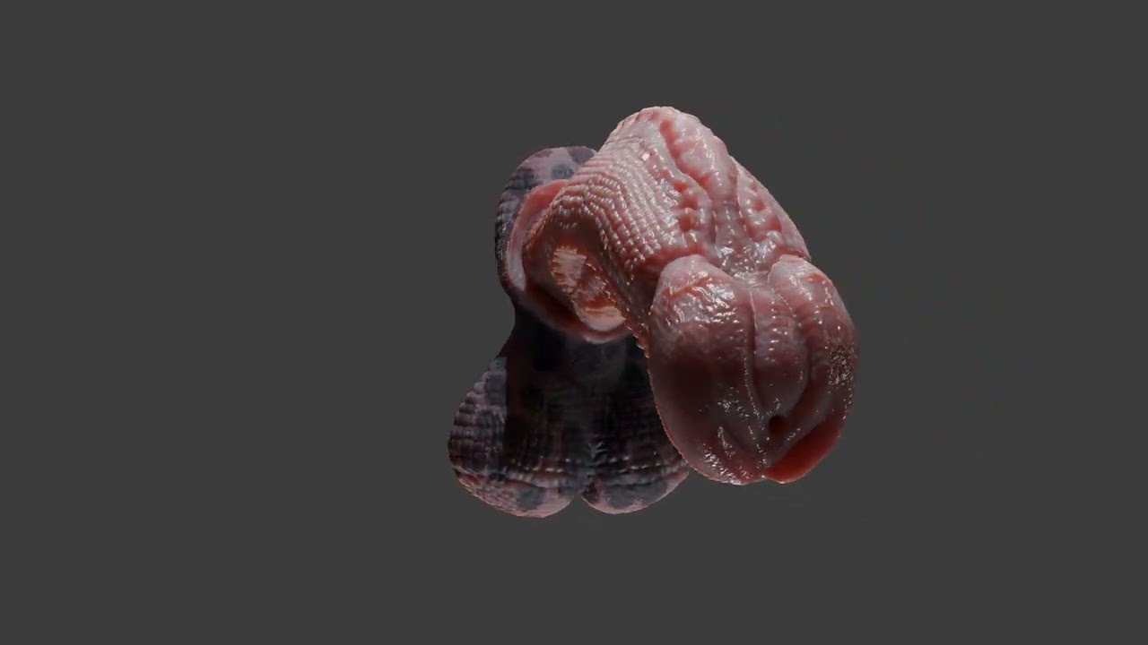Fantasy Diragan Dragon Penis Rigged 3D Model