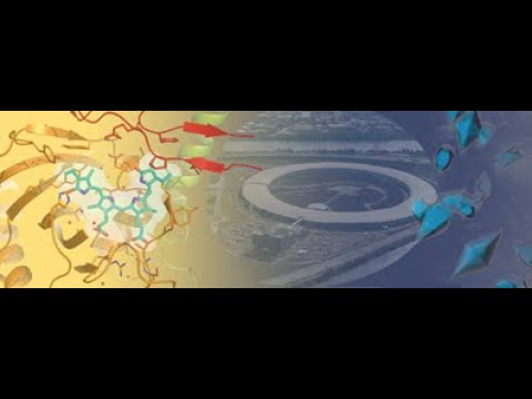 BC1 - Enzyme & Cofaktoren I
