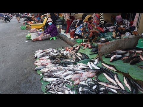 Walk Around Street Market @Phsa Kilometers 7 - Morning Activities of Khmer-Muslim Vendors in Market