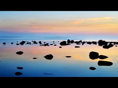 Undefined Friendship By Peter Sandberg - IMUSIC 2018