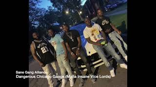 Inside the Mafia Insane Vice Lords: Chicago’s Most Ruthless VL Sets