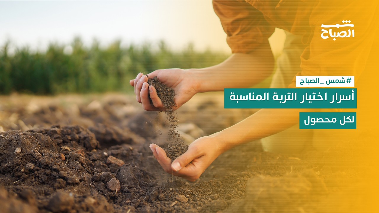 فيديو | شمس الصباح | أخطر مشاكل التربة الزراعية وطرق علاجها