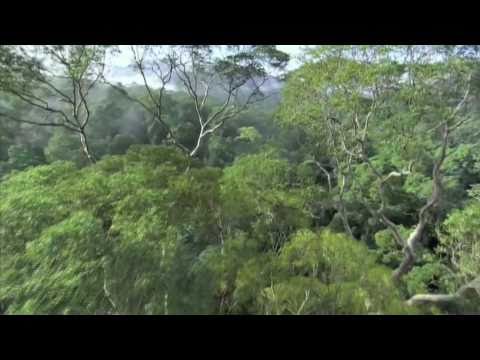 Mory Yacel, Tripzone - Mantra