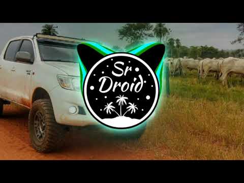 BANDA O CRUSH - SEU NEGÓCIO - (COM GRAVE 🔥)