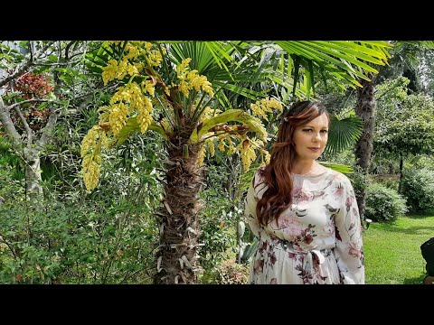 Vitrina e librit/ Një jetë në fluturim- Keni dëgjuar të flitet për Drago Siliqin?