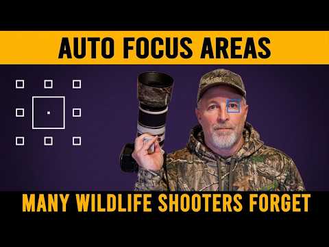 The Auto Focus Trick Many Wildlife Shooters Forget