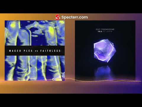 Maceo Plex, Faithless - Insomnia 2021 (Epic Mix) x Exit Friendzone ft. Eden - Iris (TK mashup)