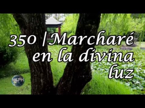 HA62 | Himno 350 | Marcharé en la divina luz