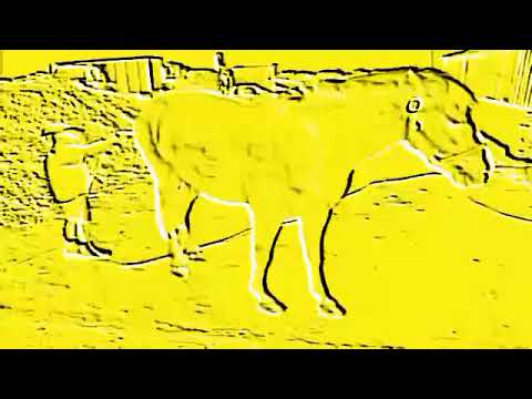 Teletubbies TV Emily Washing the Pony Date 18 September 1997