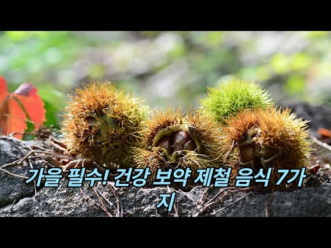 자연이 준 선물, 제철 과일로 건강 챙기기