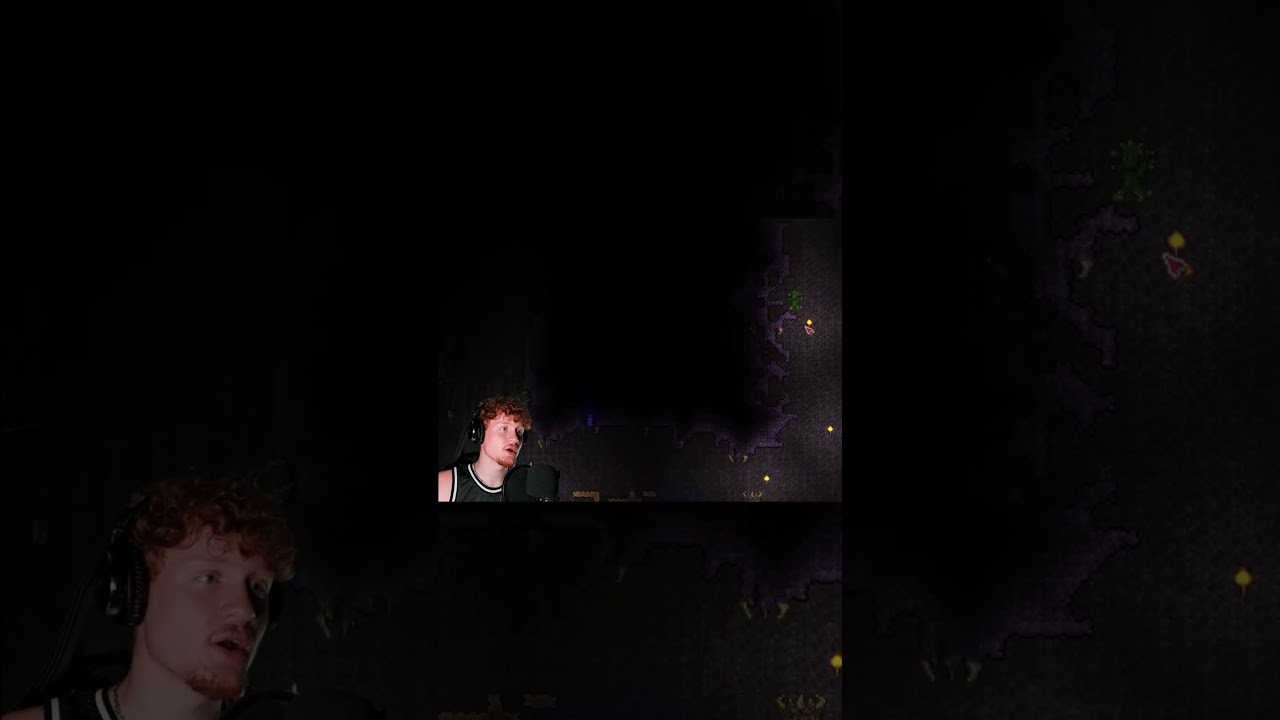 Who let Bro Build? #funny #gaming #fyppp #shorts #terraria