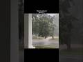 This Song Rain Rhtdm Bgm Rhtdm Status Rhtdm Song Love Status Shorts Lovestatus Shortsfeed