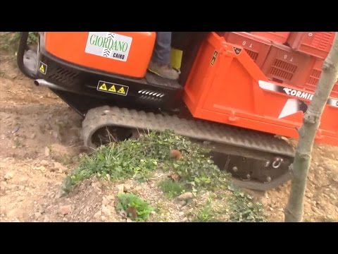 MOTOCARRIOLA CINGOLATA CORMIDI C 200 2.500 Kg - VIGNA VIARZO QUILIANO - nuova da Giordano Cairo